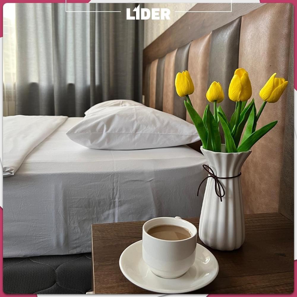 Lider Complex Hotel Vayk